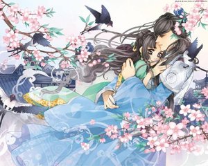铁牛tv永久防封